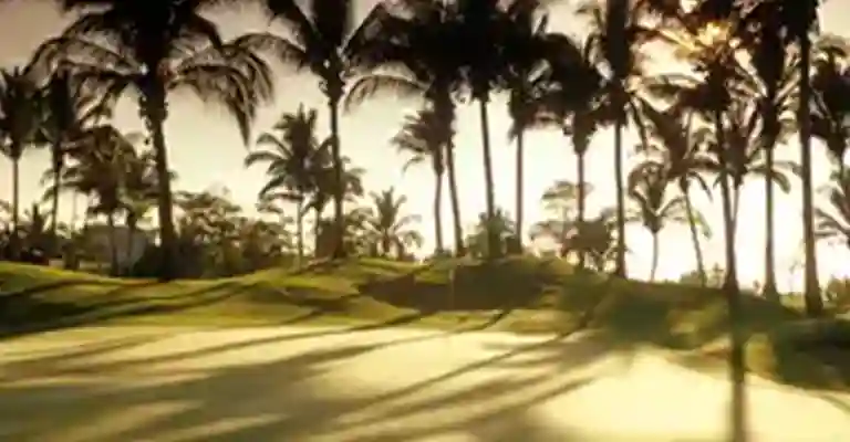 https://mail.sqnescapes.com/The Golf Course Acapulco